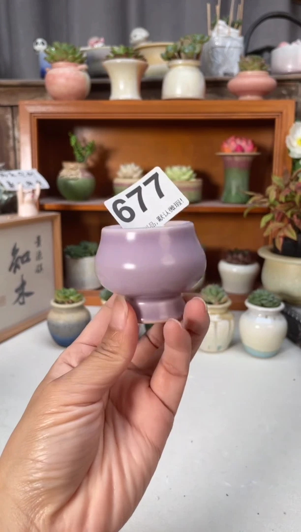 瓷片677知木小芳花盆