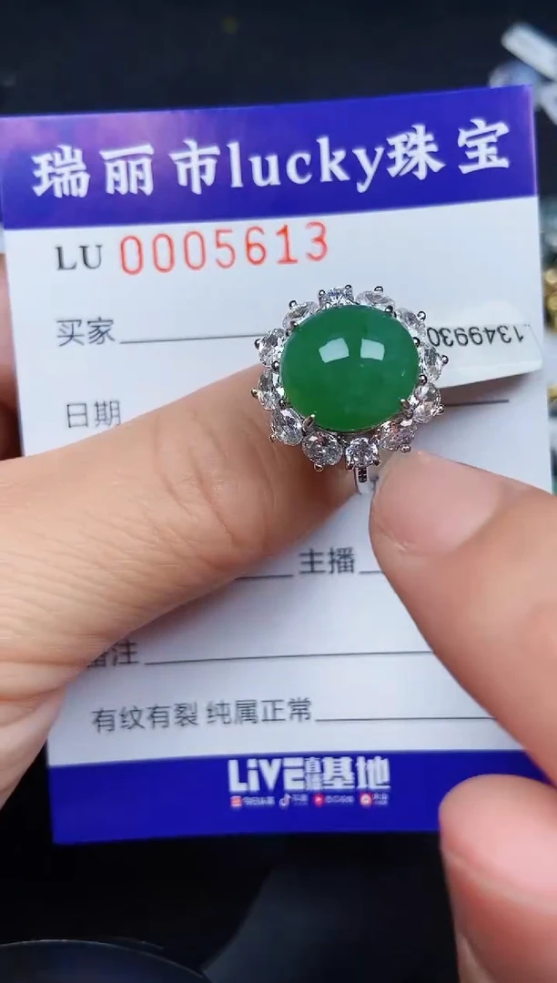 翡翠银S925镶嵌颈饰5613