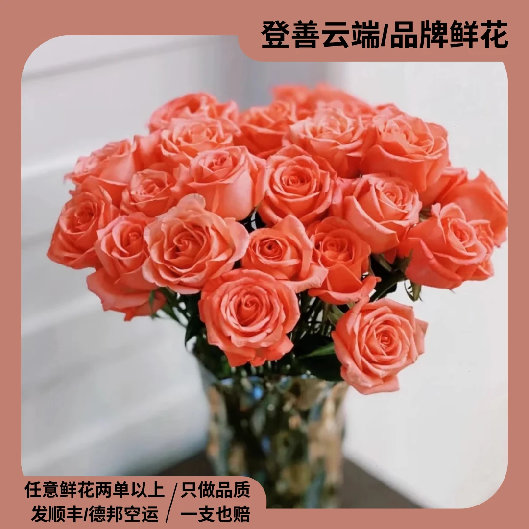 【影星】精选影星单头玫瑰家居摆放插花云南鲜花优质鲜切花水培鲜花