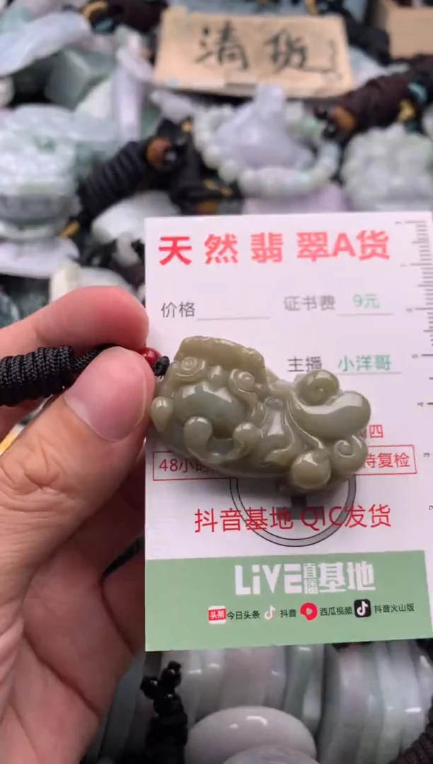翡翠未镶嵌吊坠(不含链)1