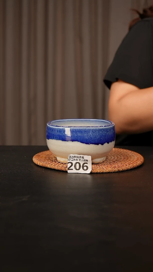 瓷片206口径约10-11  外高约6-7