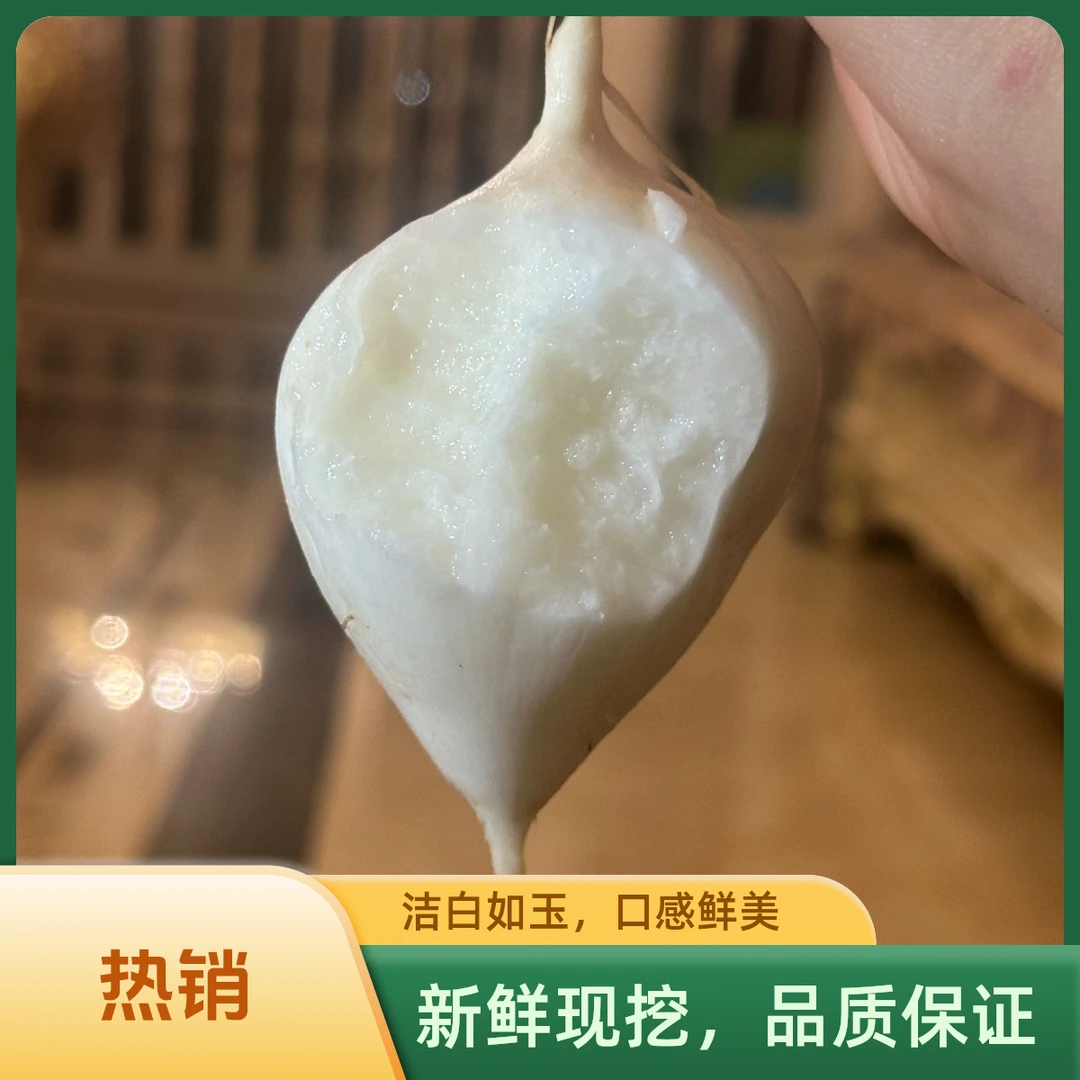 【顺丰包邮】云南农家沙土地新鲜现挖地罗卜凉薯白地瓜番薯沙葛地梨