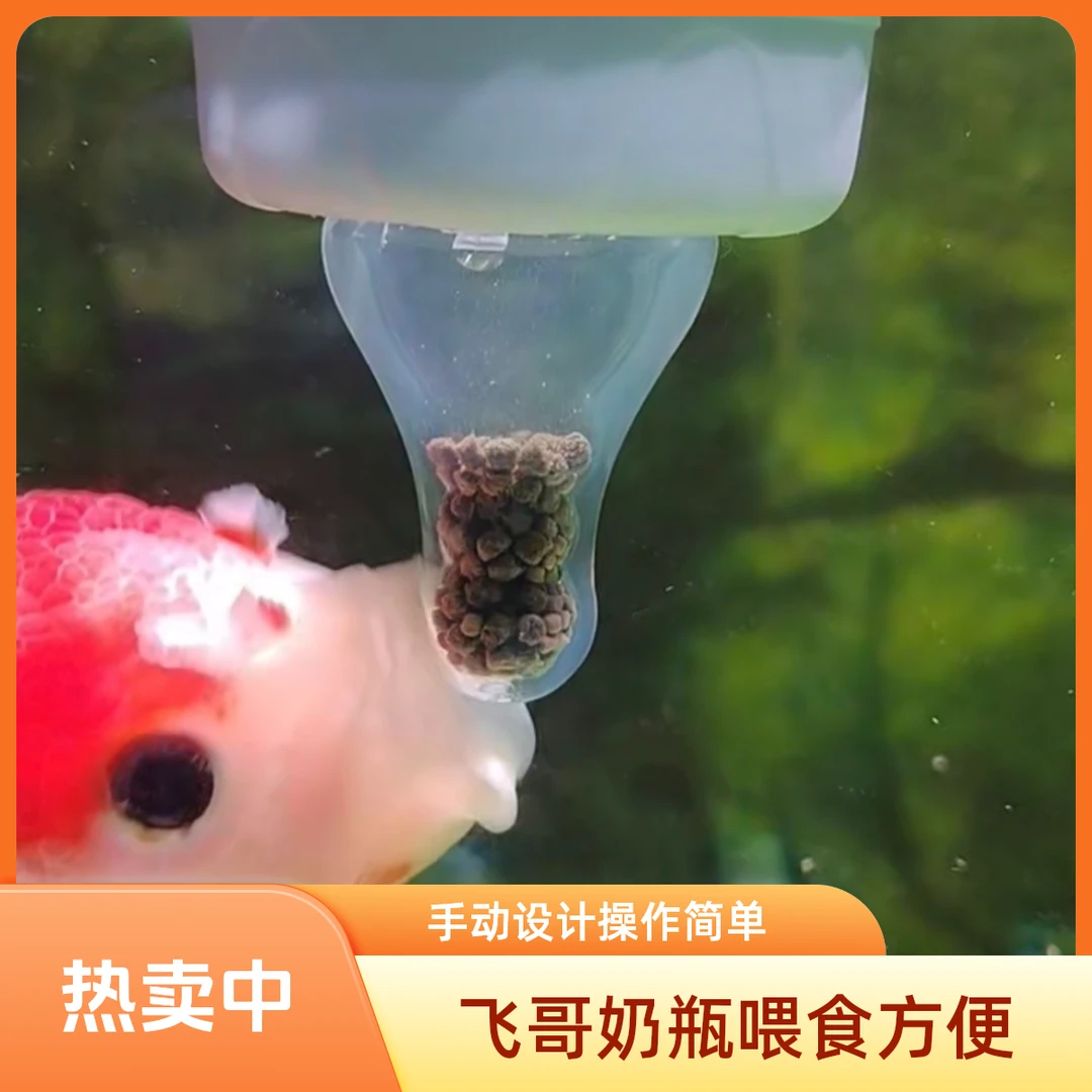 飞哥喂鱼奶瓶，孔已开好。