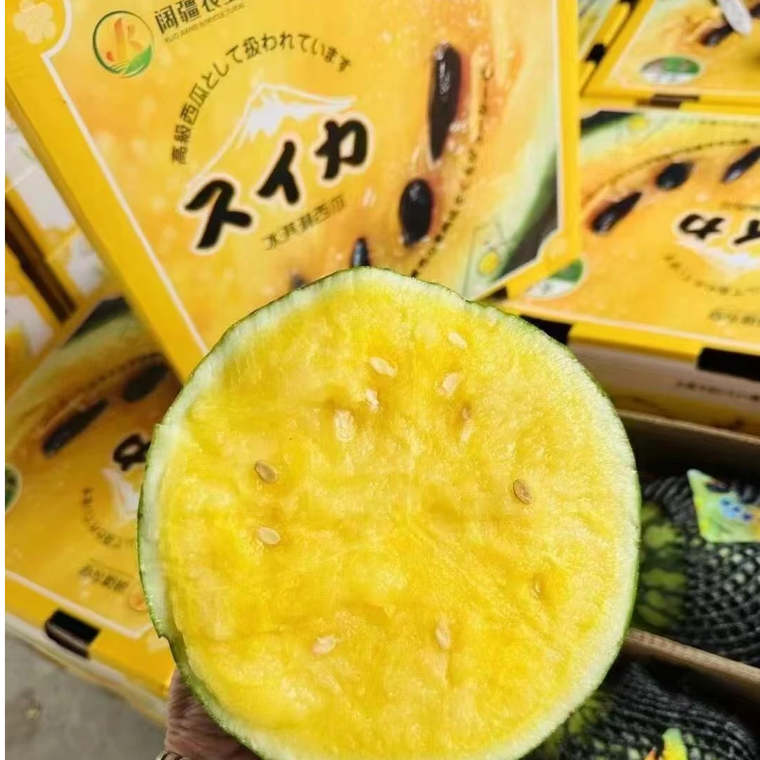 阔疆农业 冰淇淋西瓜 黄心西瓜瓜皮薄 果肉厚实 汁水丰富 甜度好