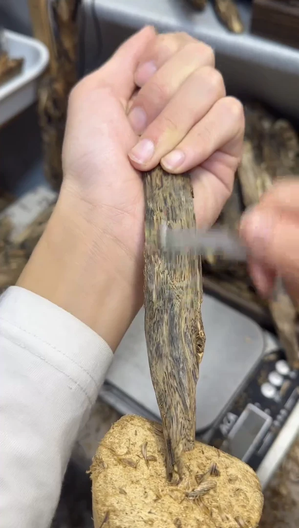 沉香沉香碎屑海南白棋九九沉水