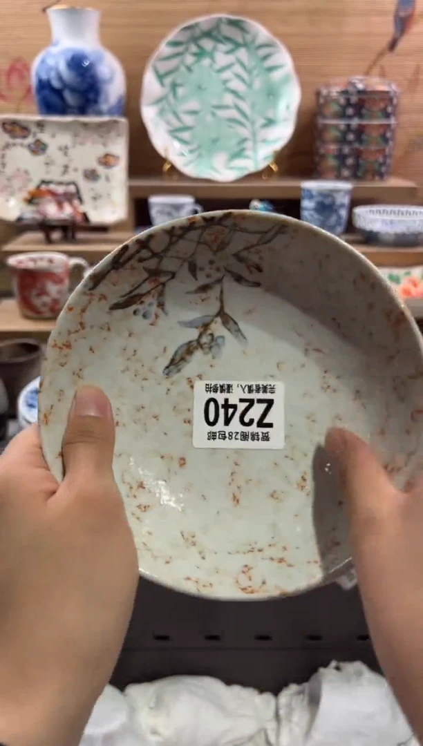 瓷片?**?         Z240