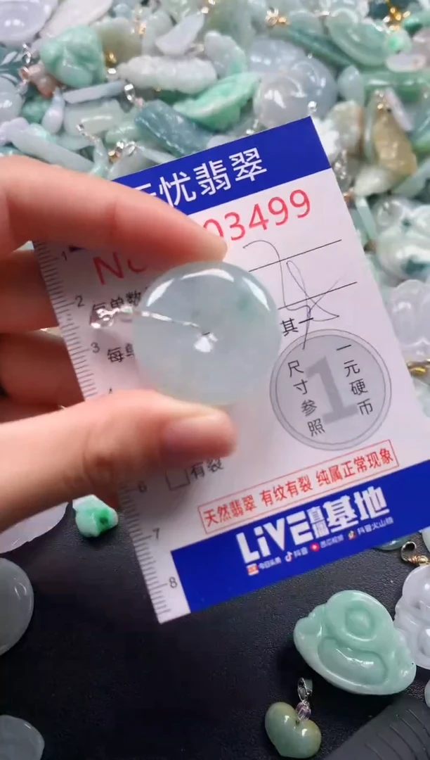 颈饰未镶嵌翡翠3499