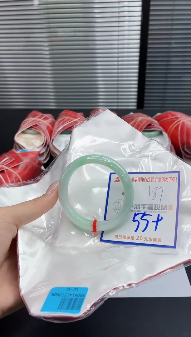 未镶嵌手镯翡翠11111