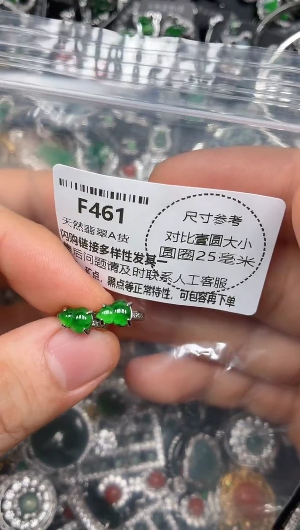 颈饰未镶嵌翡翠F461耳扣