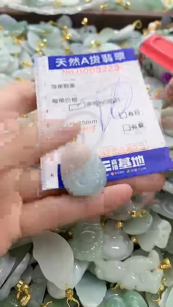 颈饰未镶嵌翡翠纯天然a货翡翠