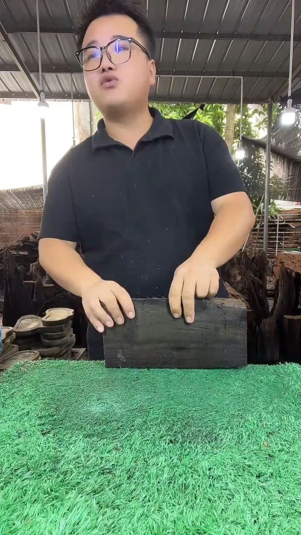 金丝楠小叶桢楠115