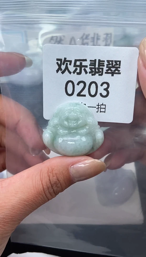颈饰未镶嵌翡翠缅甸天然翡翠0203