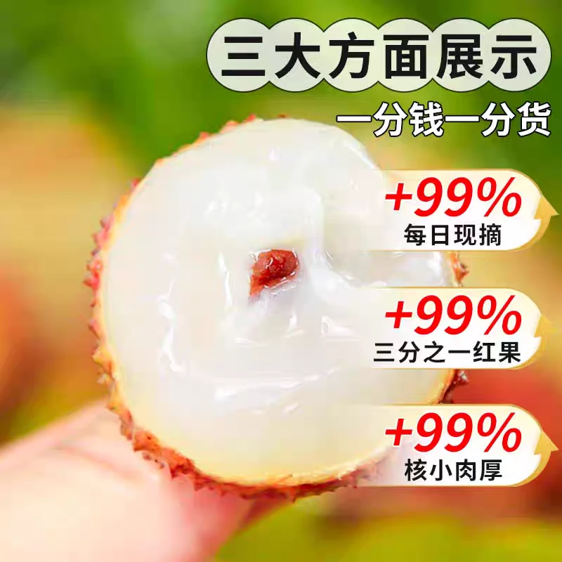 【海南妃子笑】果园现摘2025新鲜头茬老树荔枝现摘空运直发水果