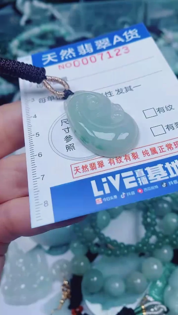 颈饰未镶嵌翡翠00007123