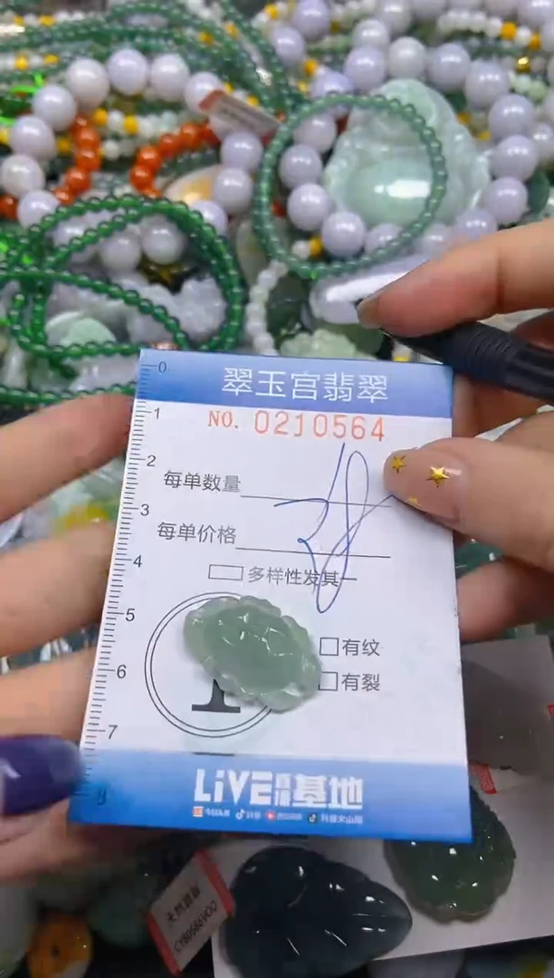 颈饰未镶嵌翡翠闪购C0210564