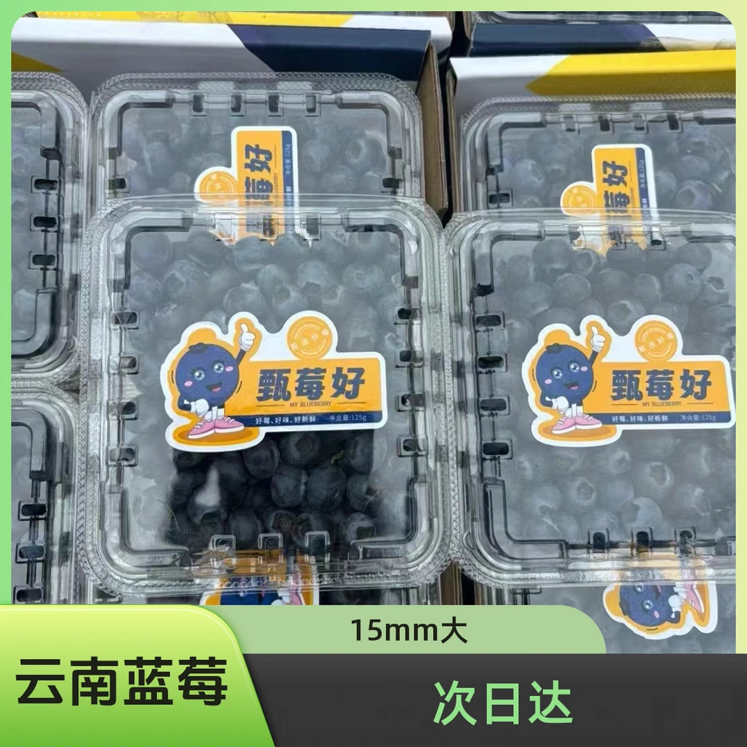 【次日达】云南高山花香蓝莓鲜果125g/盒（15mm）新鲜蓝莓同城送云南蓝莓云南省玉溪市