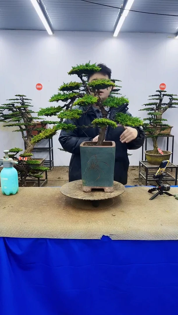 无花朵一物一拍，所见即所得