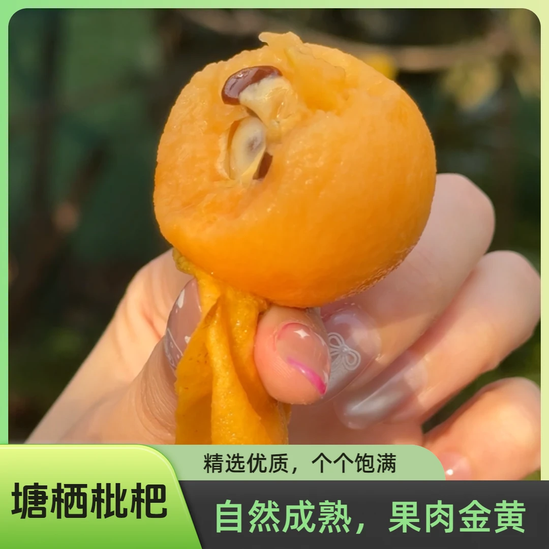 杭州塘栖枇杷正宗软条白沙红毛丫头新鲜现摘当季水果鲜甜多汁白玉