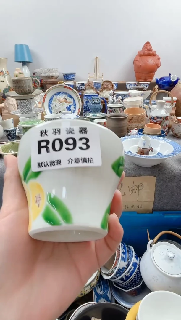 日式?***?默认微瑕秋羽R093