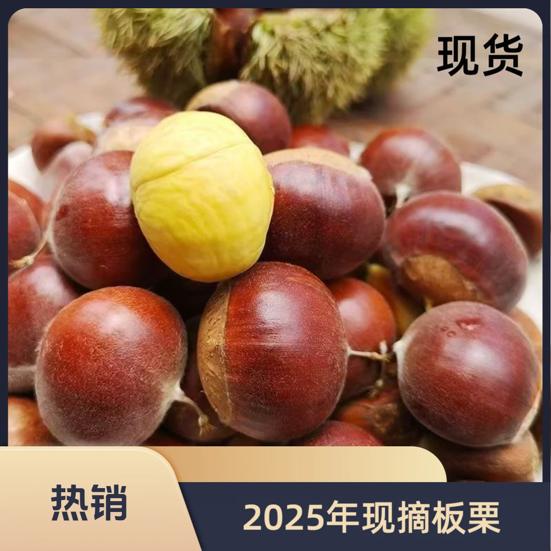 【买3斤送2斤】2025年新鲜现摘高山板栗甘甜清脆生栗子板栗