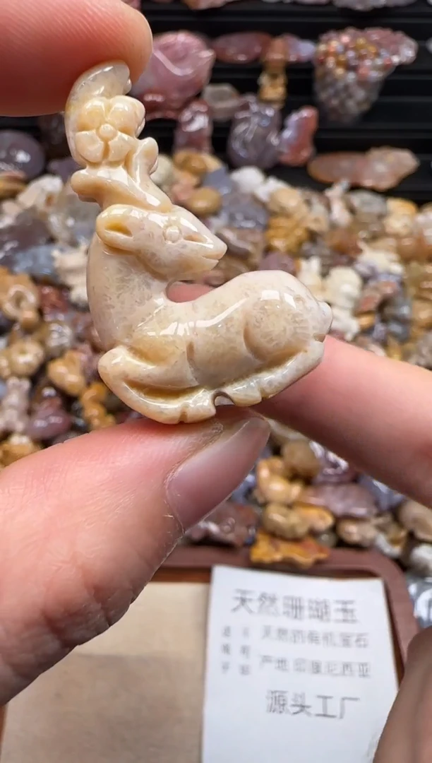 【闪购商品】硅化珊瑚（珊瑚玉）颈饰未镶嵌281