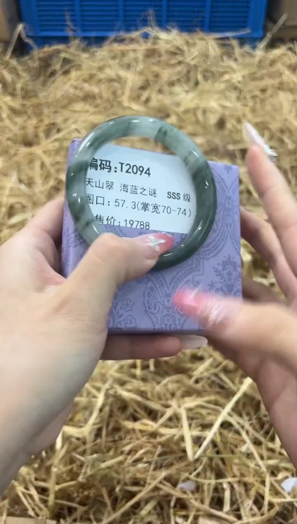 未镶嵌手镯石英质玉T2094