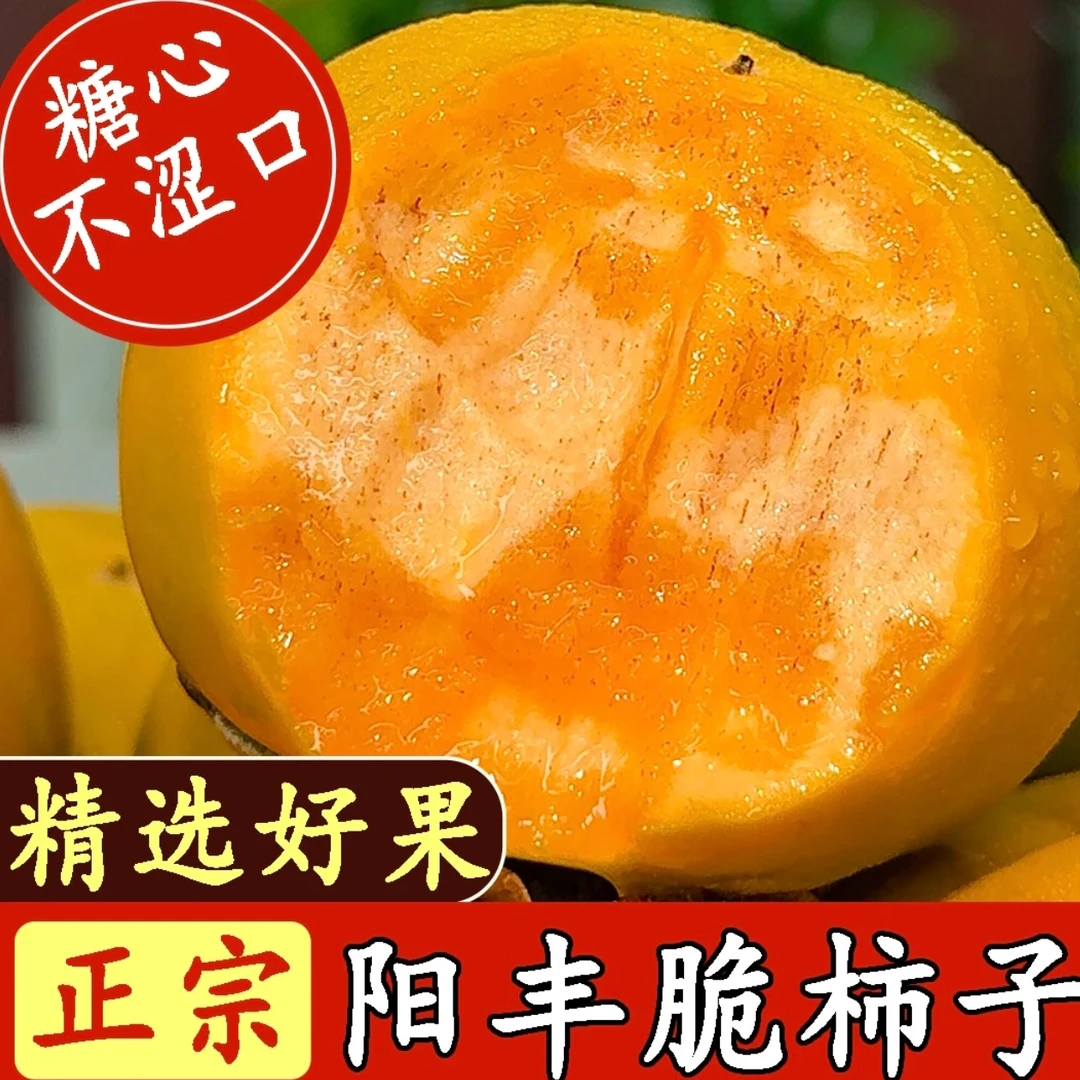 【升级果王】阳丰巧克力阳丰脆甜柿子新鲜采摘脆甜多汁不涩应季水果