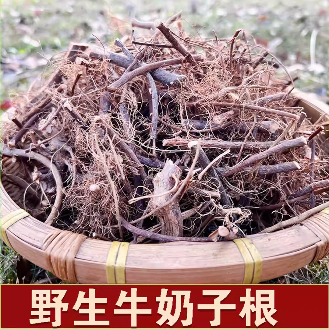 乡下牛奶根农家散装大田特产炖罐炖汤煲汤料包草根汤寒草汤调味料
