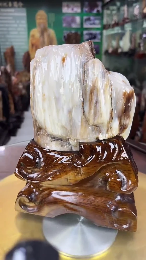 未镶嵌珠宝奇石硅化玉缅甸天然树化玉摆件