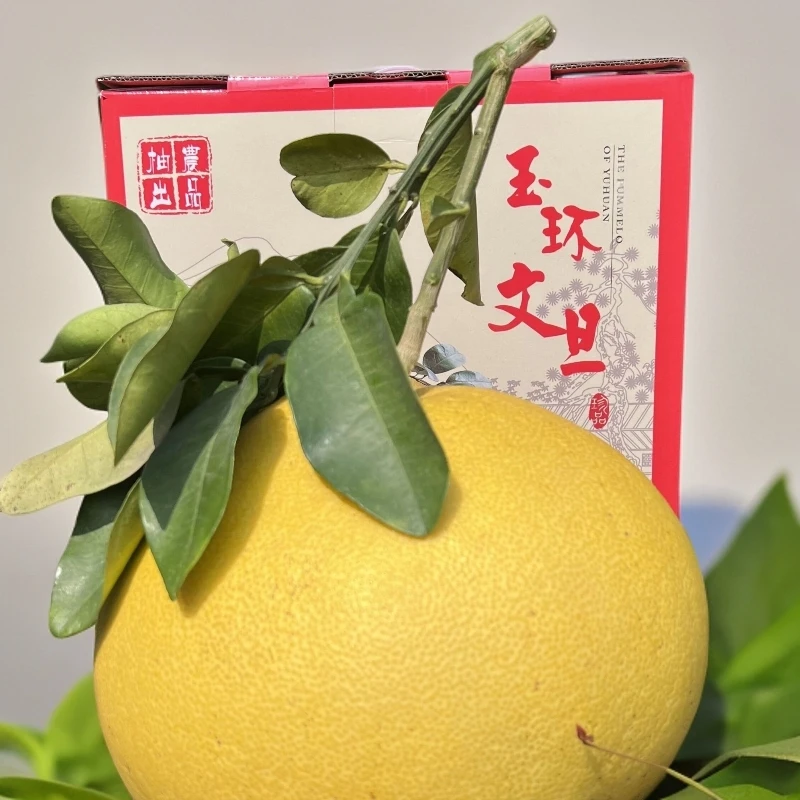 玉环厚薄皮文旦柚酸甜可口~原产地直发