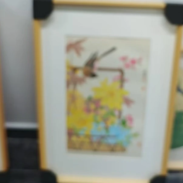 y郭华卫--1.5平尺--工笔花鸟--作品