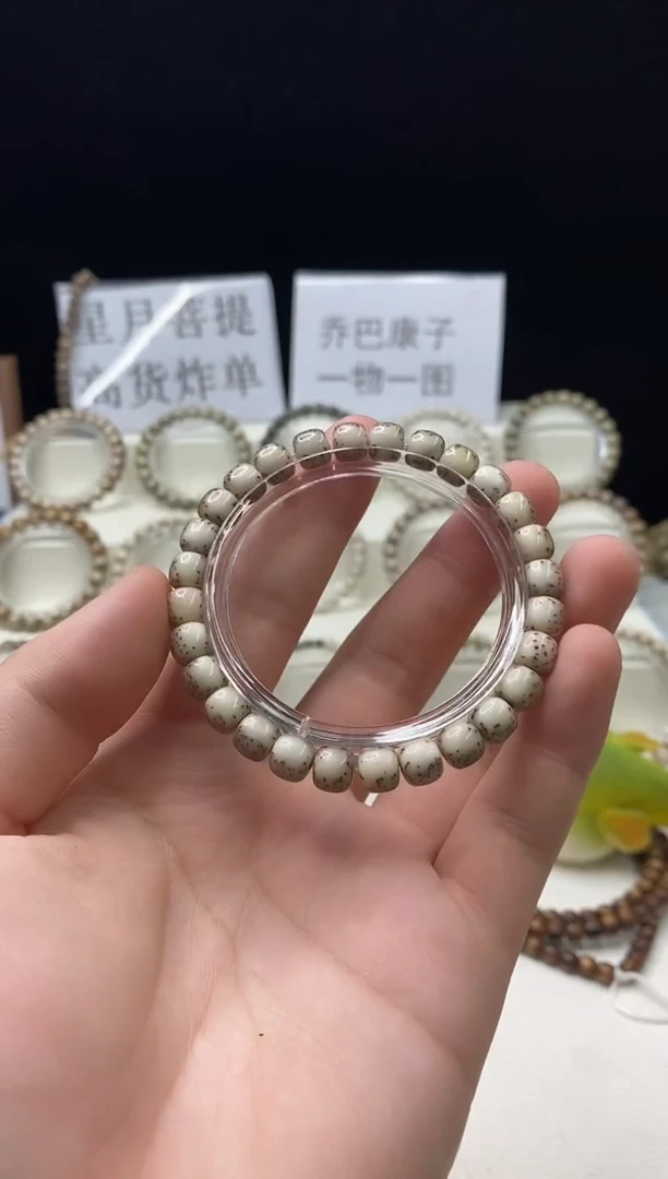 手串星月菩提304    b17