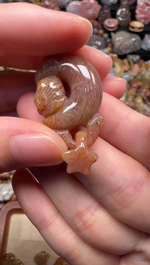 颈饰未镶嵌硅化珊瑚（珊瑚玉）831