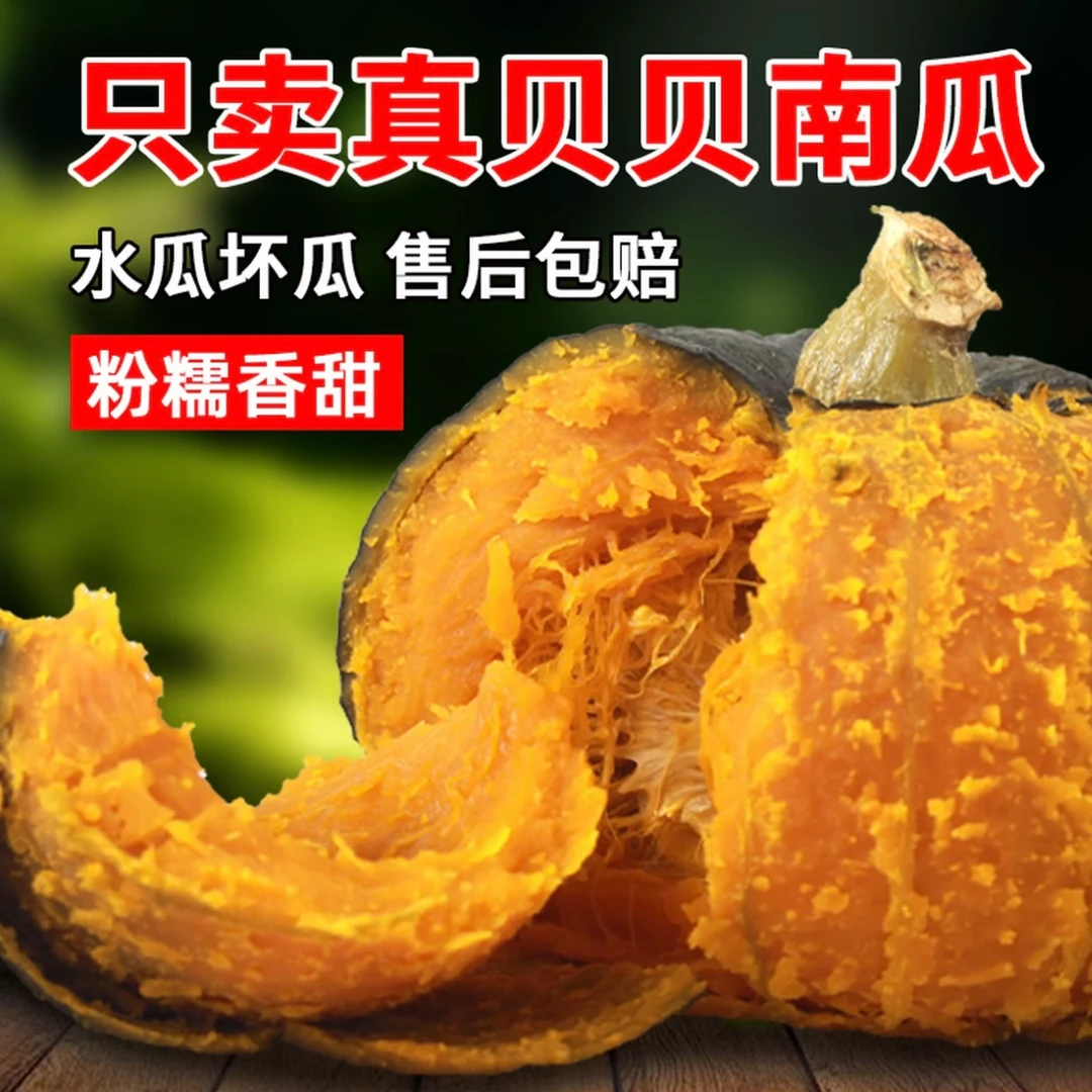 正宗甘肃沙地贝贝南瓜粉糯香甜板栗味小南瓜宝宝辅食