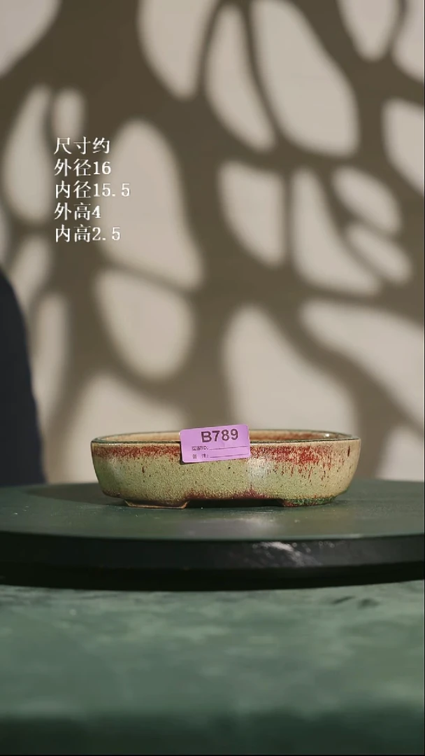 椭圆盆 789