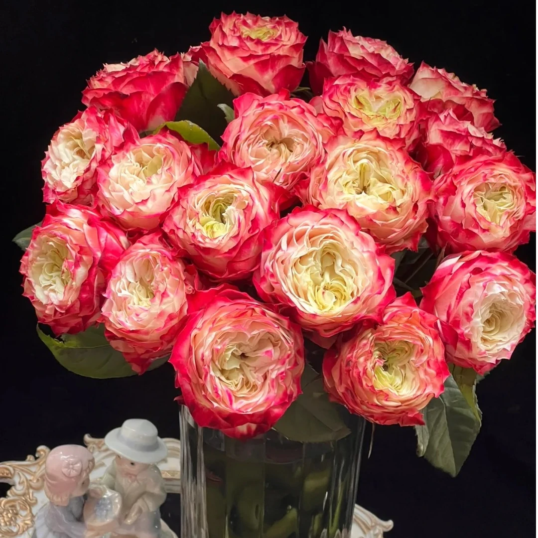 苹果玫瑰【苹果杰克玫瑰】云南鲜花直发同地址两单及以上顺丰/德邦