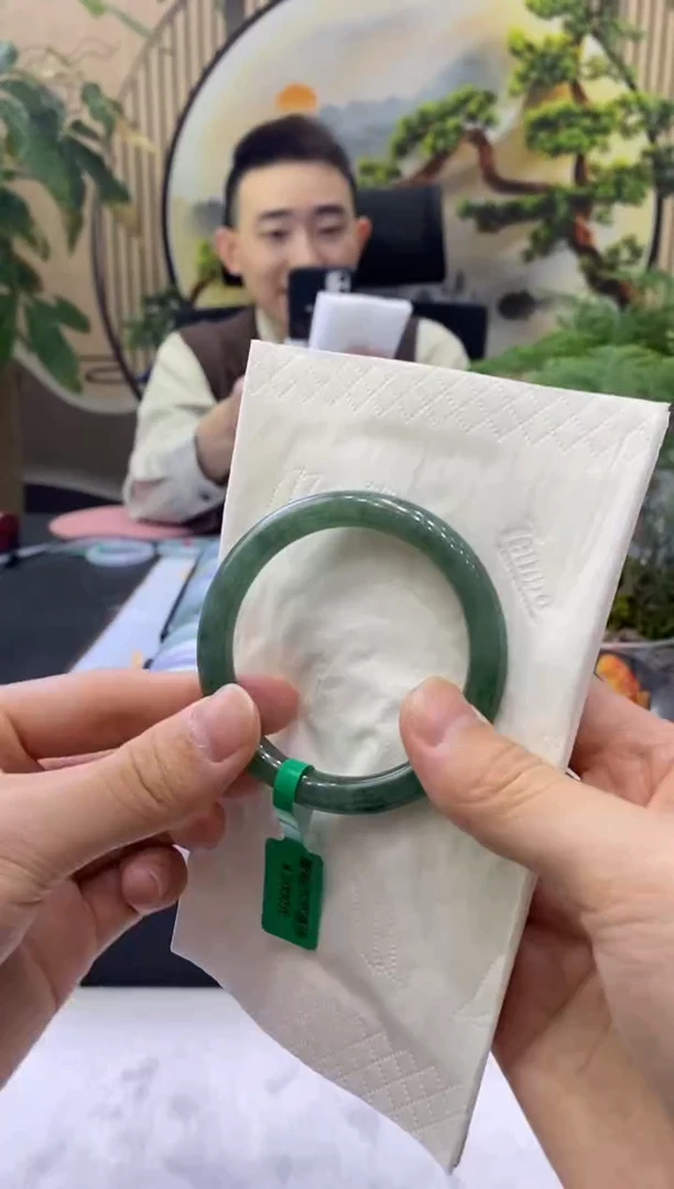 未镶嵌手镯翡翠4697