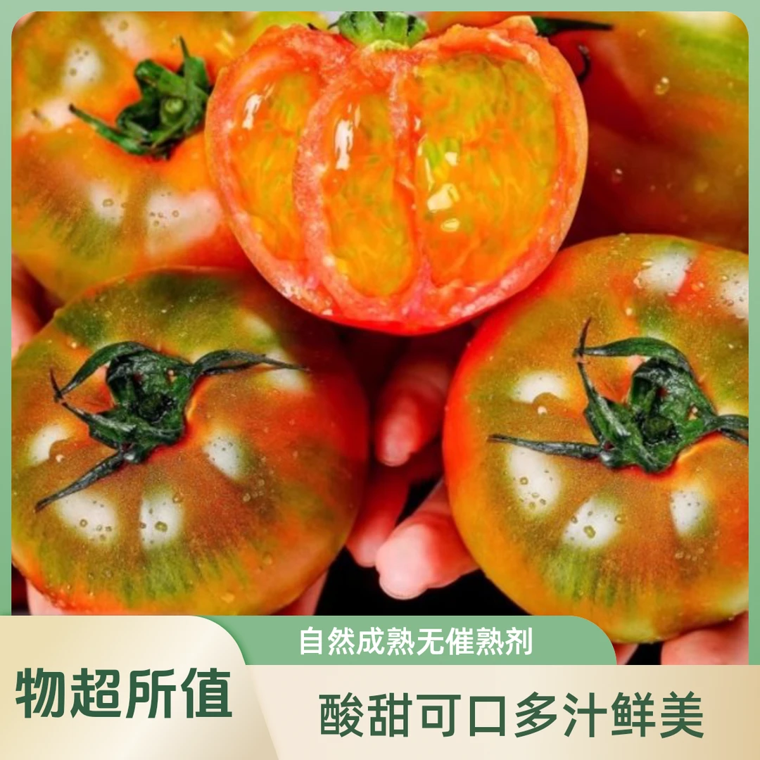【顺丰次日达】铁皮柿子2斤4斤5斤碱地草莓番茄西红柿酸甜可口多汁自然熟番茄送货上门番茄天津市