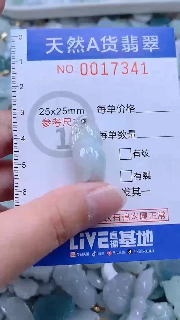 翡翠未镶嵌吊坠(不含链)1