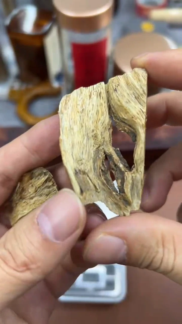 沉香沉香碎屑海南虎斑棋料1.26克