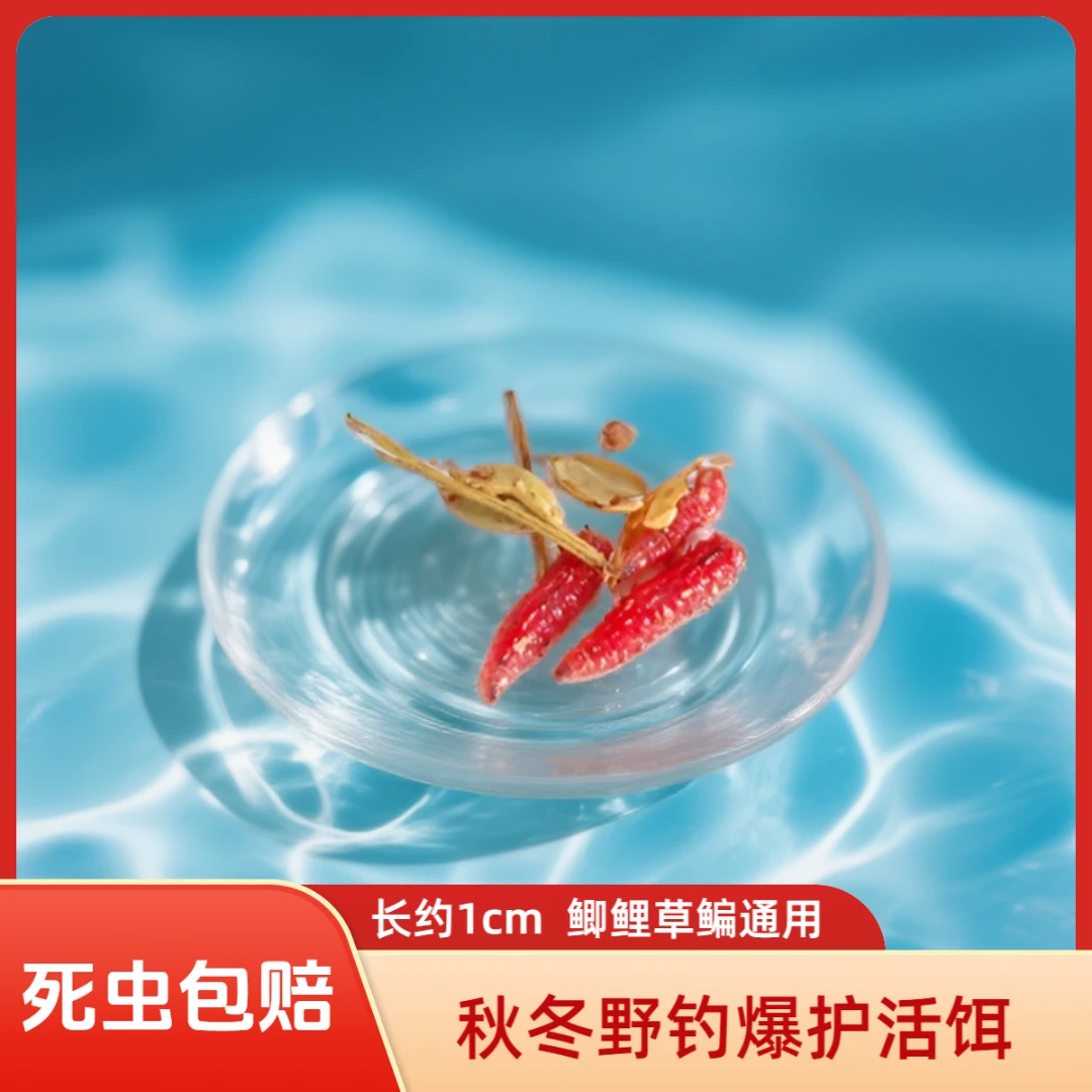 钓鱼饵料红蛆虫野钓鲫鱼鲤鱼狂口垂钓鱼饵挂钩诱饵钓鱼蚯蚓红虫