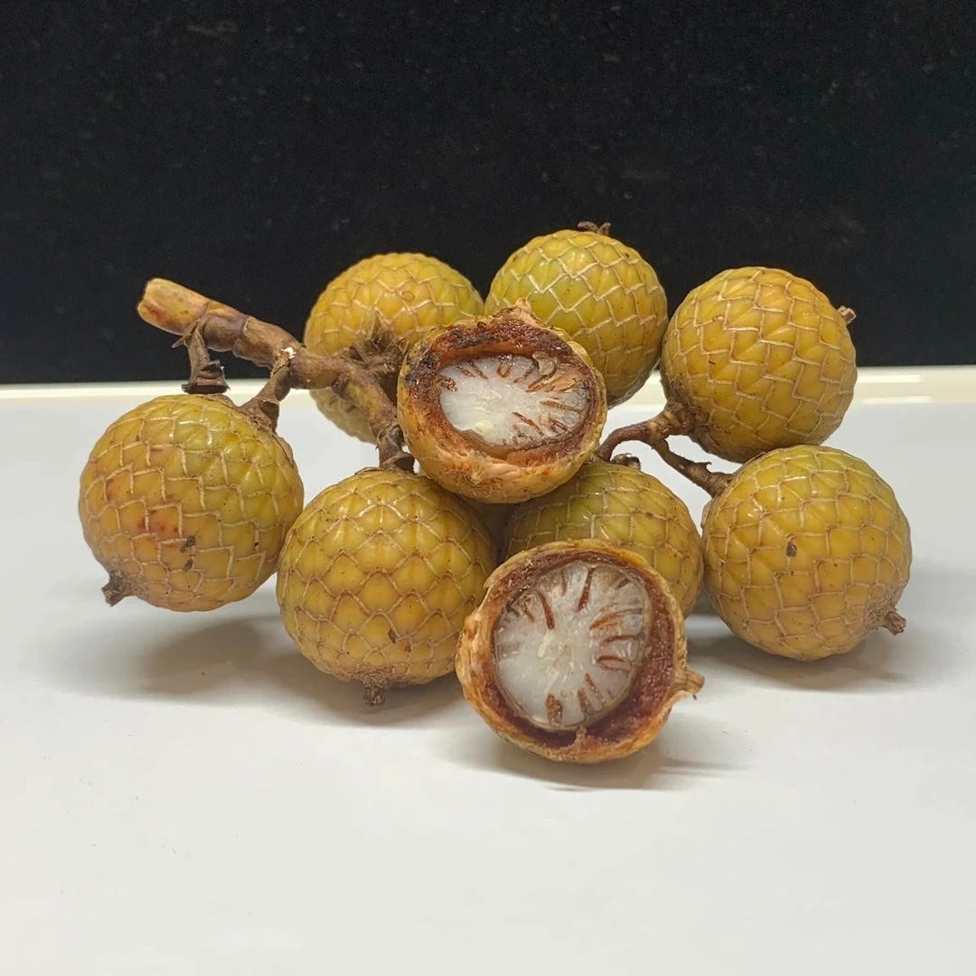 直播间下单链接一物一拍同枝果星月菩提单圈手串