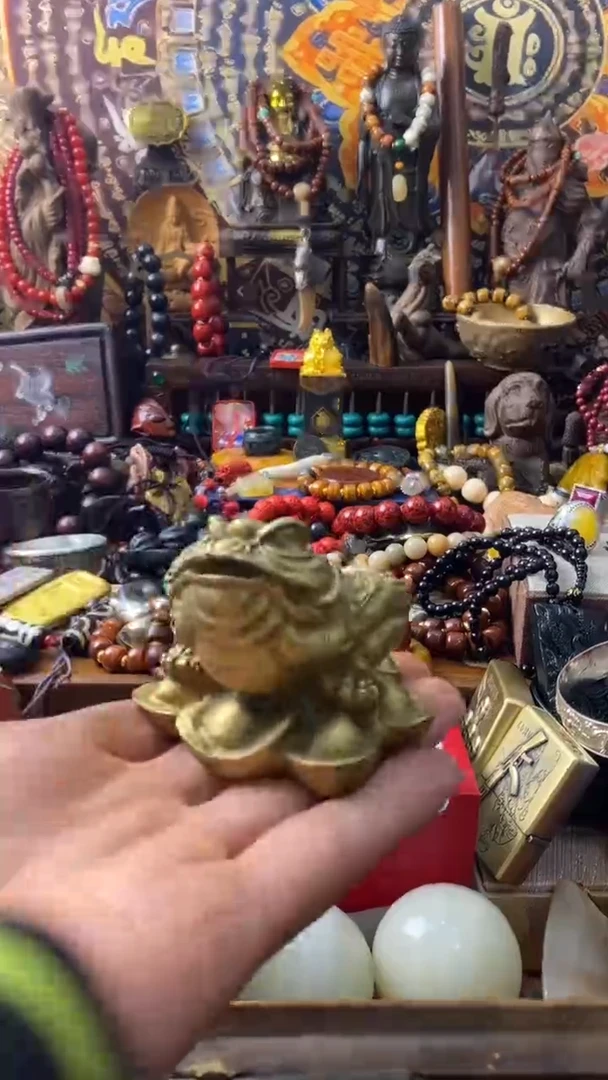 ------主播推荐-------