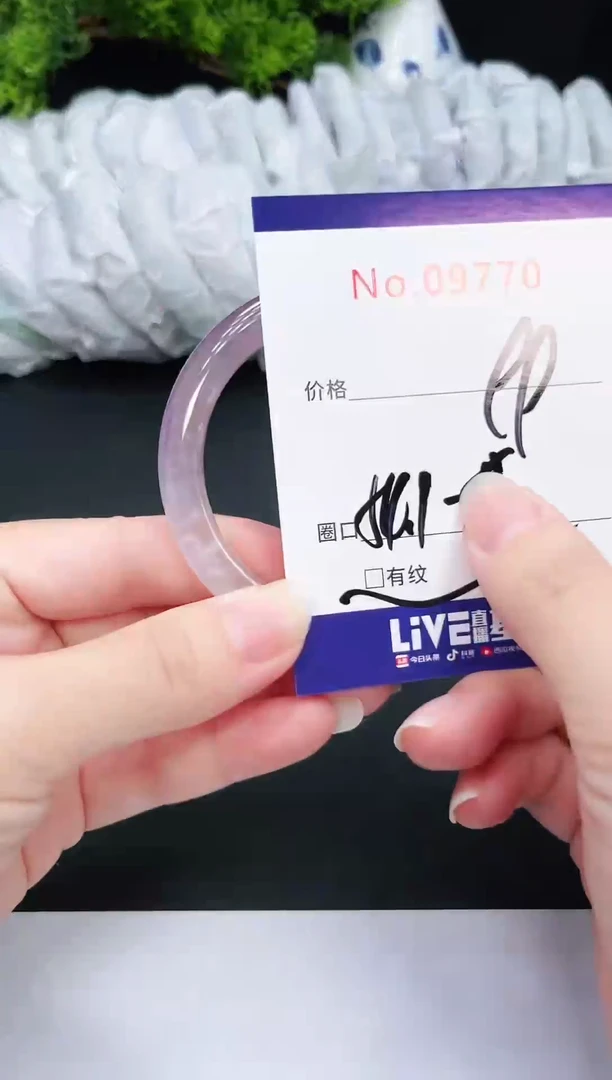 未镶嵌手镯翡翠9770