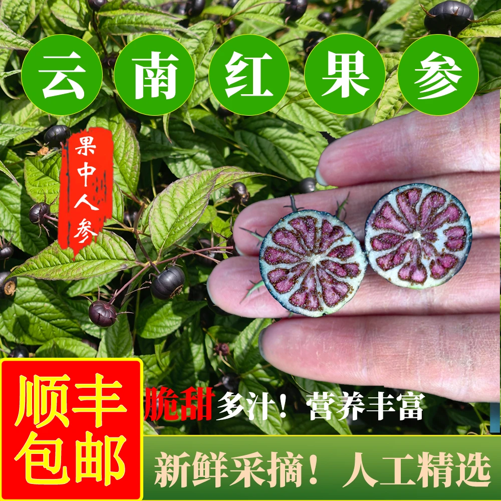 【顺丰包邮】新鲜当季云南红果参高山稀有水果酸甜多汁现采现发