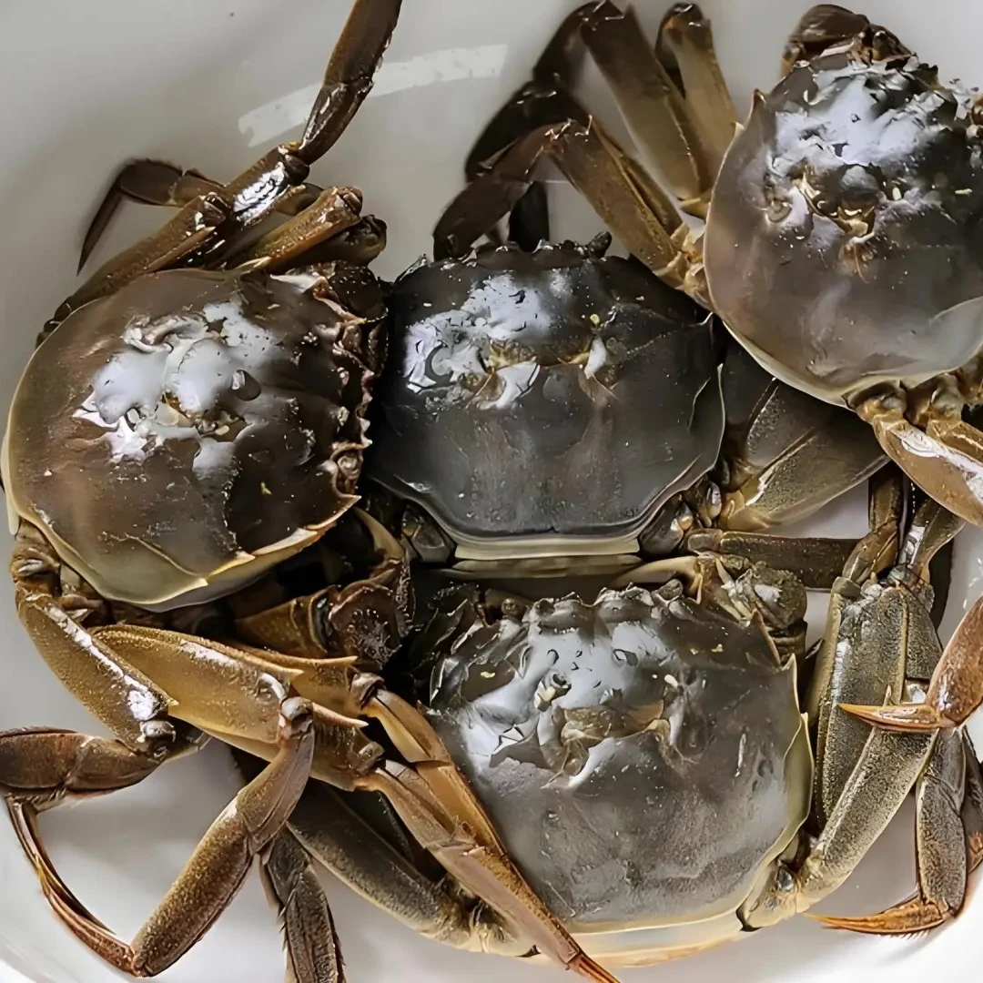 【六月黄/稻田蟹】时令不等人！六月黄短暂现身，错过再等一年 两种规格 单只0.7-1两 单只1-1.4两