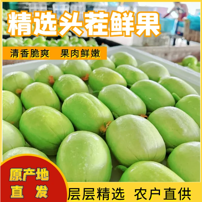 【奶玉】山东寿光玉女水果黄瓜拇指黄瓜应季水果白玉青瓜低卡代餐