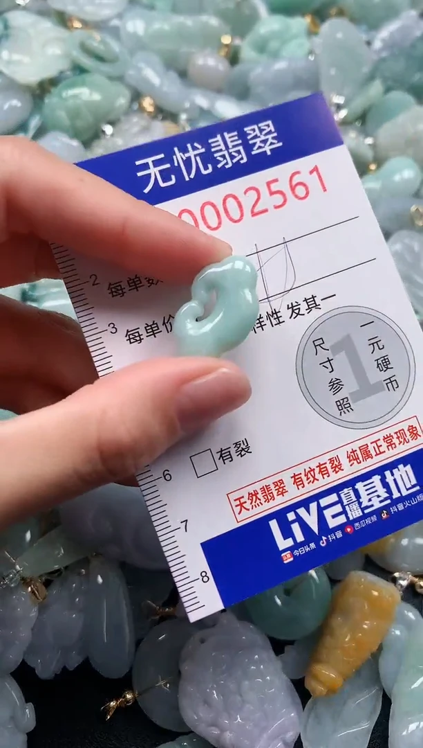 颈饰未镶嵌翡翠2561