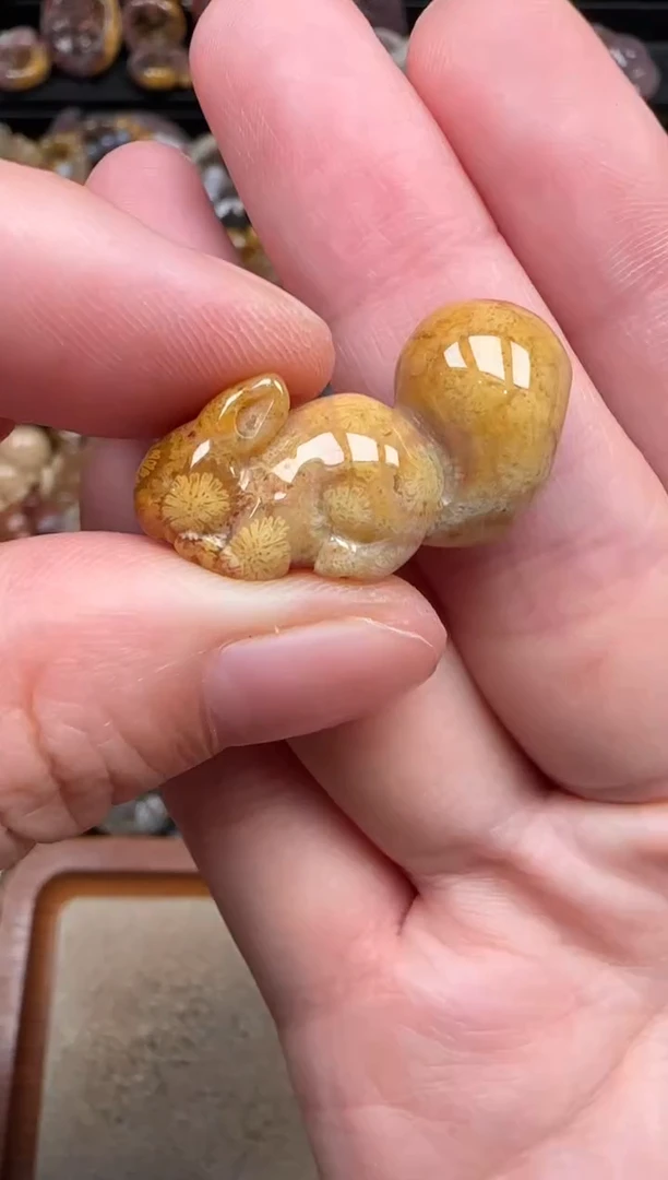 颈饰未镶嵌硅化珊瑚（珊瑚玉）520