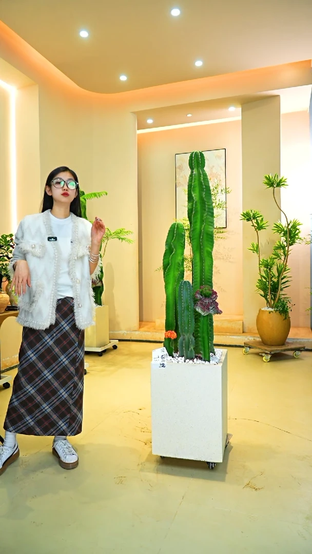不开花植物冠****！量天尺